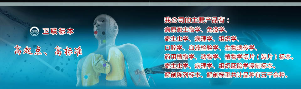 沅江市卫教试验用品有限公司 沅江市卫教试验用品有限公司