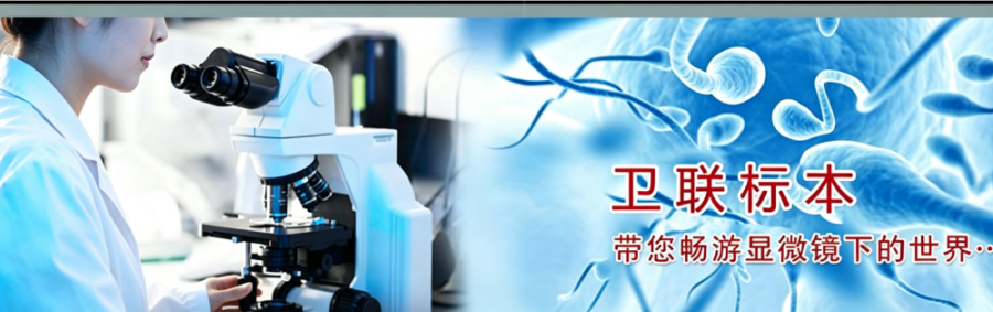 沅江市卫教试验用品有限公司